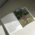 ASSOULINE INSPIRED -  Vakantie fotoboek - Seven Four Templates